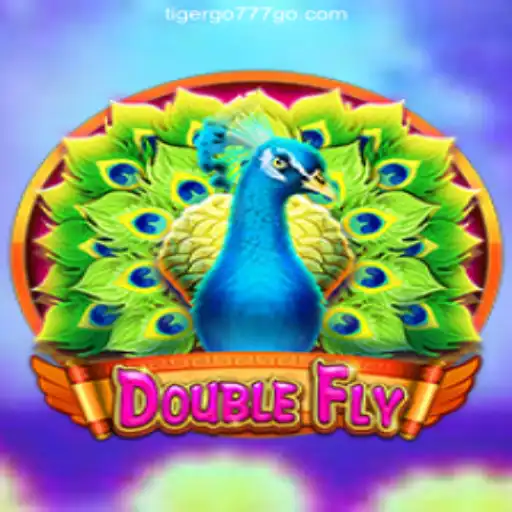 Exploring the Dynamic World of DoubleFly: Brazil's Premier Online Slots Experience