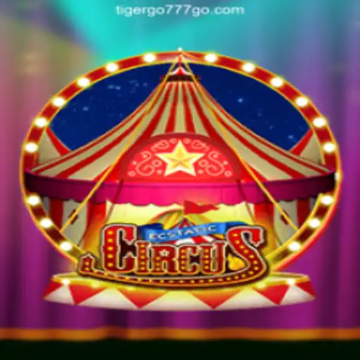EcstaticCircus: Dive into the Exciting World of Online Slots with TIGERGO777.com